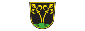 Wappen von Traunstein